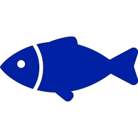 Icône